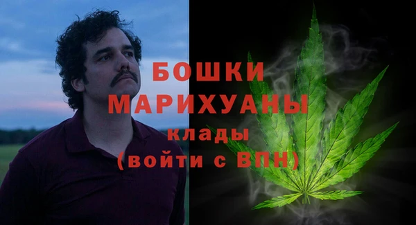 эйфоретик Вяземский