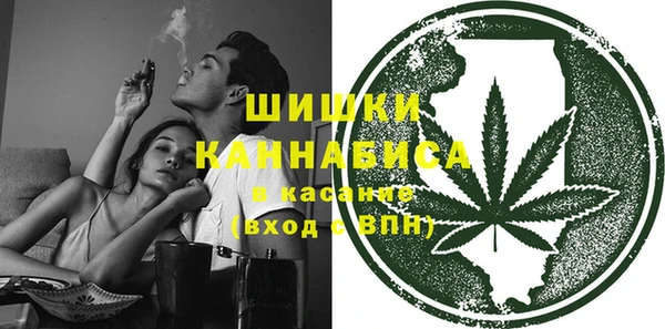 эйфоретик Вяземский