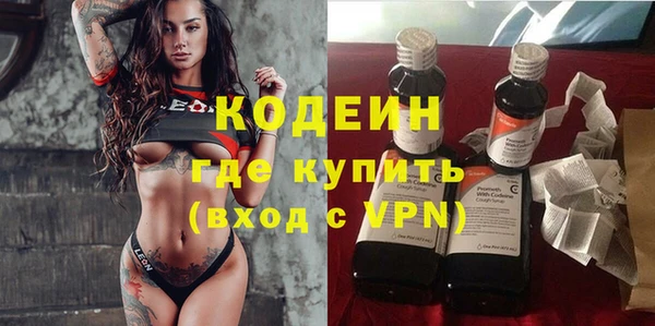 эйфоретик Вяземский