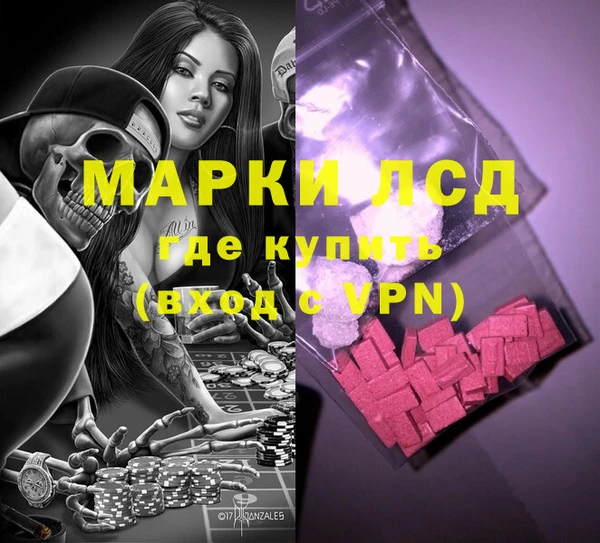 эйфоретик Вяземский