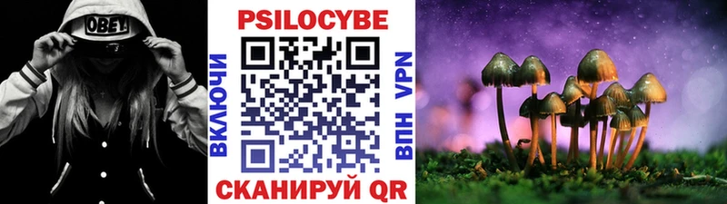 Галлюциногенные грибы мицелий  Купить  Приморск 